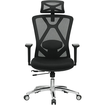 Кресло для руководителя EVOLUTION "EXO F1", ткань, сетка, алюминий, черный - 2