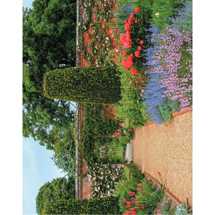 Книга "Фотография. Руководство по съемке природных сюжетов", Андрей Лысиков - 6