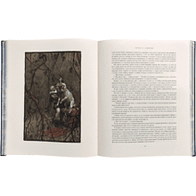 Книга "Сказки Ганса-Христиана Андерсена", Ганс-Христиан Андерсен