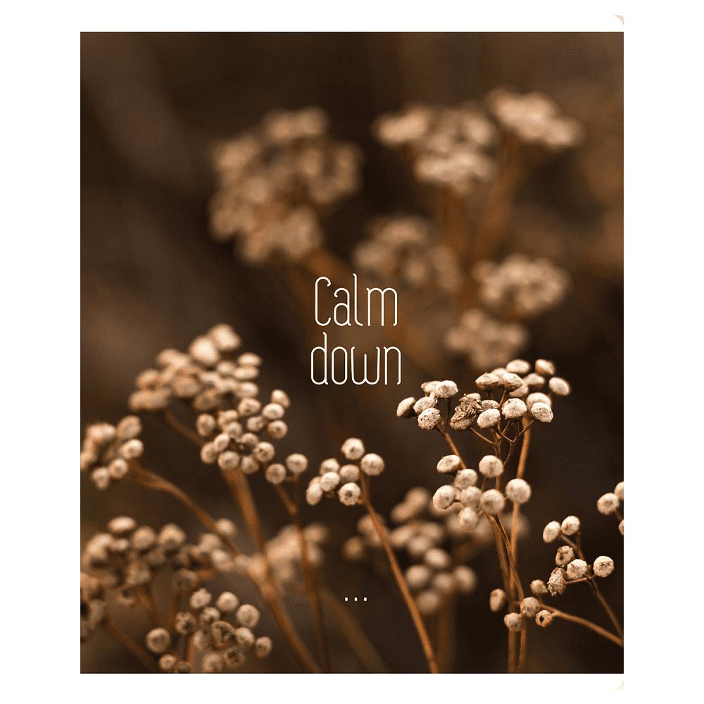 Тетрадь "Calm down", А5, 96 листов, клетка, скоба сбоку, ассорти - 5