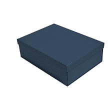 Коробка подарочная картонная, 223х308х95 мм