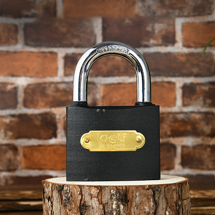 Замок навесной Deli YS EDL508909, 75 мм, автомат, 3 ключа, защита от влаги - 3