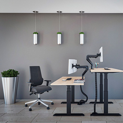 Стол подъемный WellDesk Uplift BOSCH (регулируемый по высоте каркас арт. 9041261 и столешница арт. 9031919) - 3