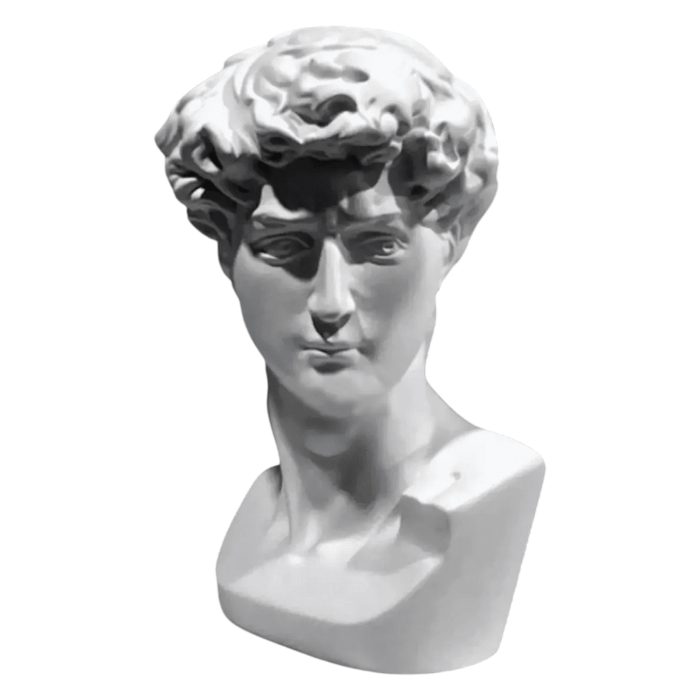 Гипсовая модель "Голова Давида малая"