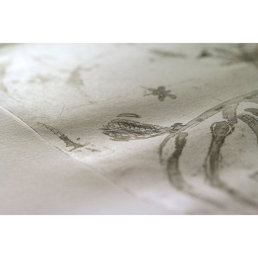 Бумага для офорта "Fleur de coton", 100% хлопок, 76x112 см, 250 г/м2 - 6