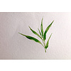 Блок-склейка для акварели "Bamboo", А3, 250г/м2, 15 листов - 4