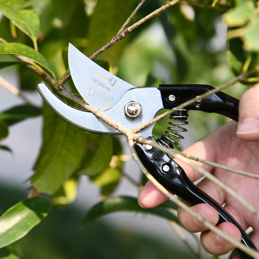 Секатор садовый "Deli" EDL580200, 205 мм, черный, серебристый - 5
