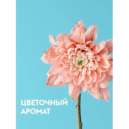 Средство чистящее для туалетных и ванных комнат "Dutybox", экологичное, с триггером, 500 мл - 3