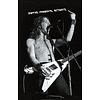 Книга "История грома: иллюстрированная биография группы Metallica", Лев Беляков - 11
