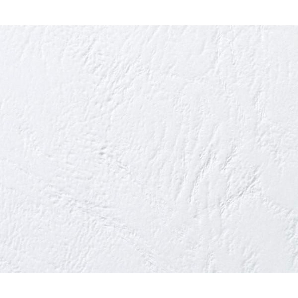 Обложка для переплета Yesли, А4, 100 шт, зеленый - 2