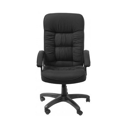 Кресло для руководителя "Бюрократ T-9908AXSN", ткань, пластик, черный - 2