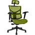 Кресло для руководителя "Ergostyle Sail", зеленый