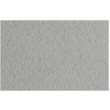 Бумага для пастели "Tiziano", 50x65 см, 160 г/м2, серый холодный
