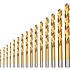 Набор сверл Deli YS EDH-MHZ015-ED4 по металлу, DIN 338, 135°, 1-15 мм, 15 шт., золотой