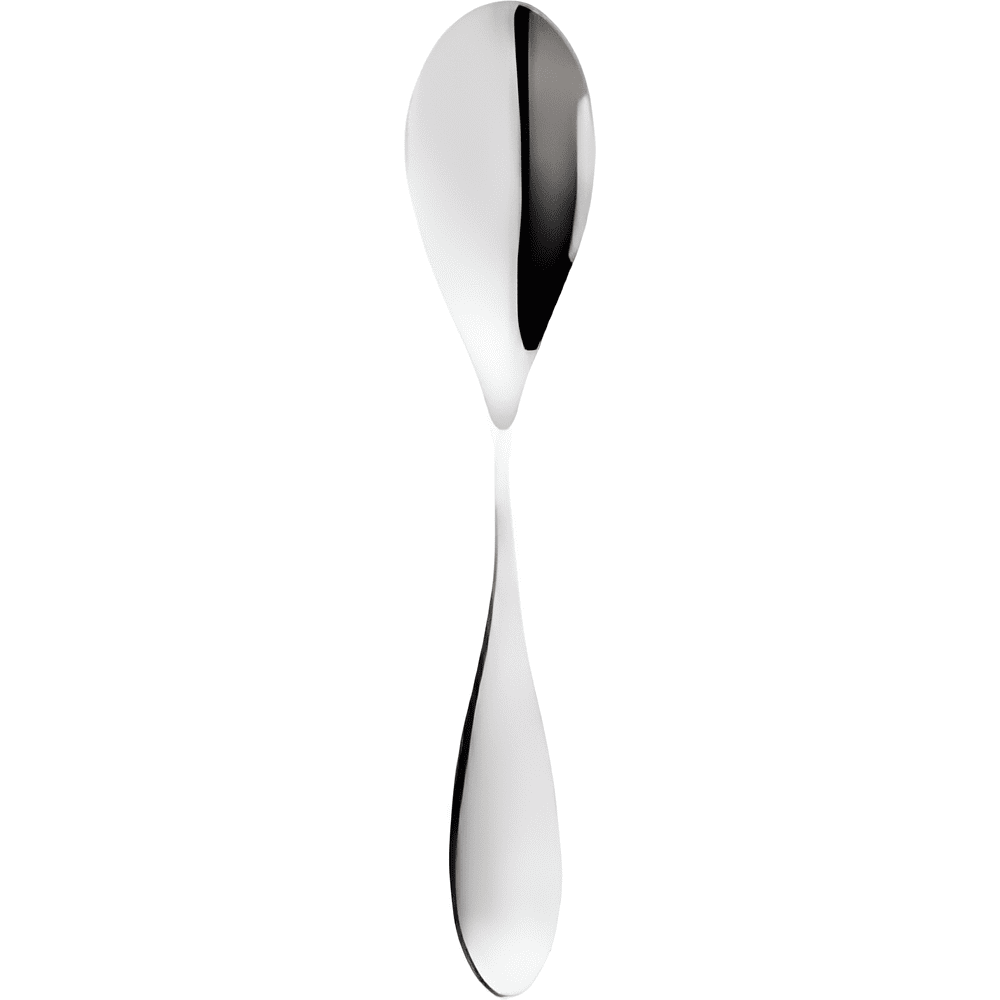 Набор чайных ложек "WL-999404 Ilona", 2 шт, металл, серебристый