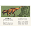 Книга "Динозавриум. Иллюстрированная энциклопедия", Маррей Л., Скотт К., Брун Д. - 6