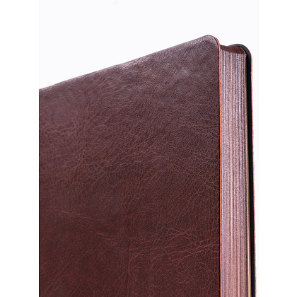 Ежедневник недатированный Acar "Lotce", A5, 272 страницы, коричневый - 4