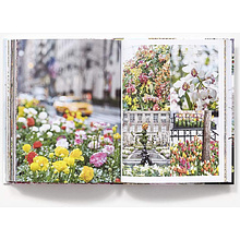 Книга на английском языке "New York in Bloom", Lane G.