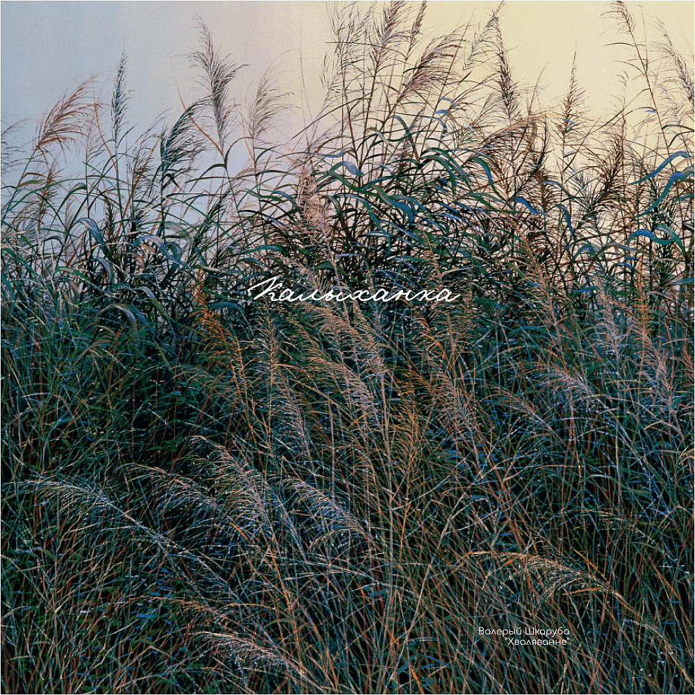 Обложка для паспорта "Волнение", Валерий Шкарубо, натуральная кожа, разноцветный - 2