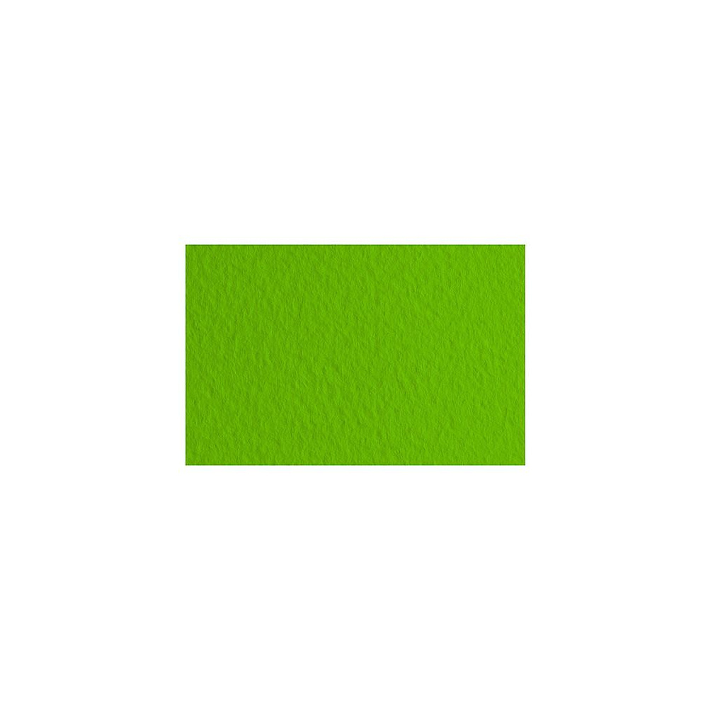 Бумага для пастели "Tiziano", А4, 160 г/м2, фисташковый 