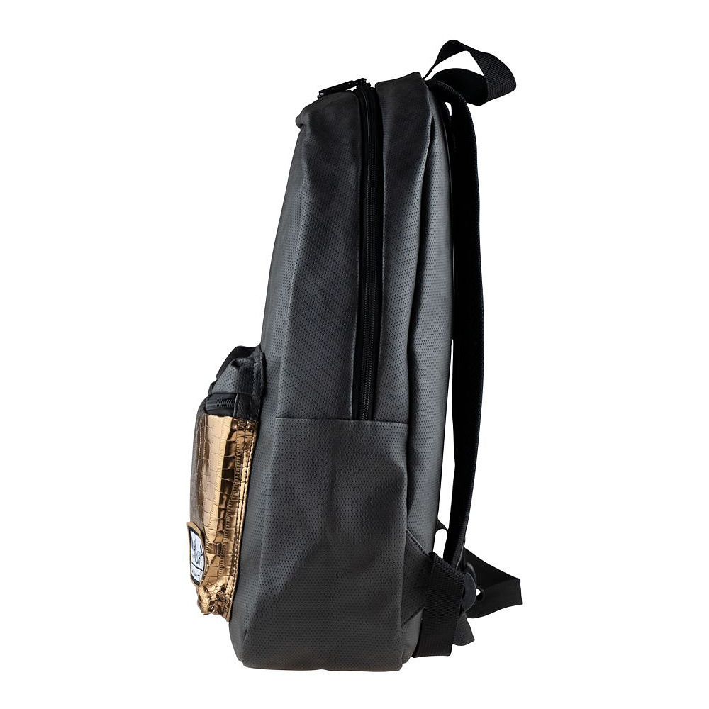 Рюкзак молодежный "Hash Glamour", черный, золотой - 2