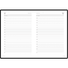 Ежедневник недатированный "Sidney Nebraska", А5, 272 страницы, золотистый, срез золотистый