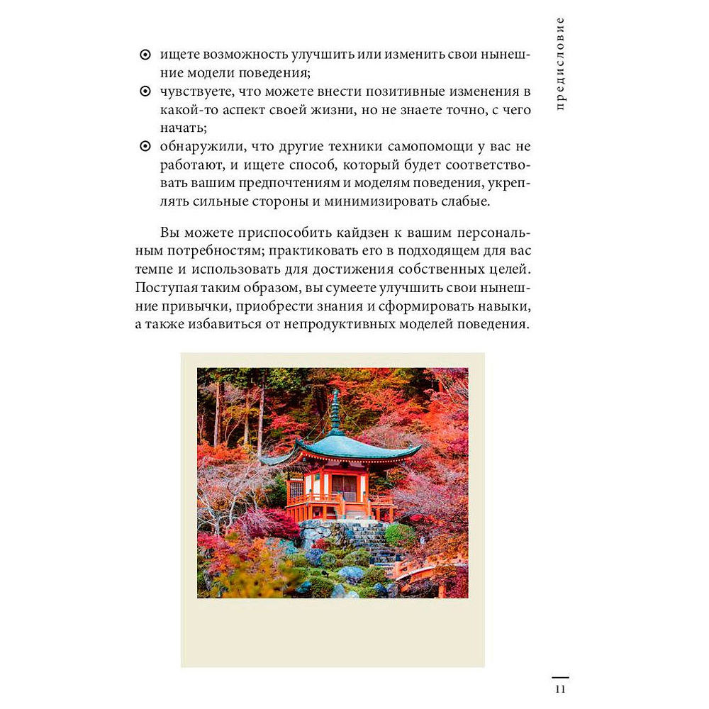 Книга "Кайдзен: японский метод трансформации привычек маленькими шагами", Сара Харви - 9