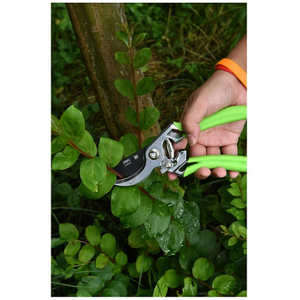 Секатор садовый цельнокованный Deli GS EDL580207, пружина, тефлон, 215 мм., черный, зеленый - 15