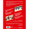 Книга "Великий хоккей. Легендарные победы и герои советского и российского спорта", Игорь Гурфинкель - 2