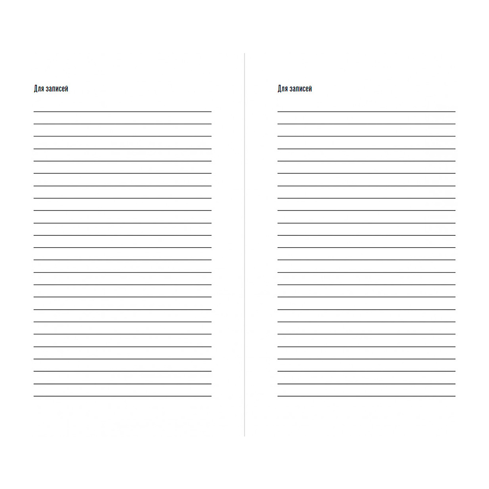 Дневник "Дневник впечатлений на 5 лет: 5 строчек в день (бутоны)" - 12