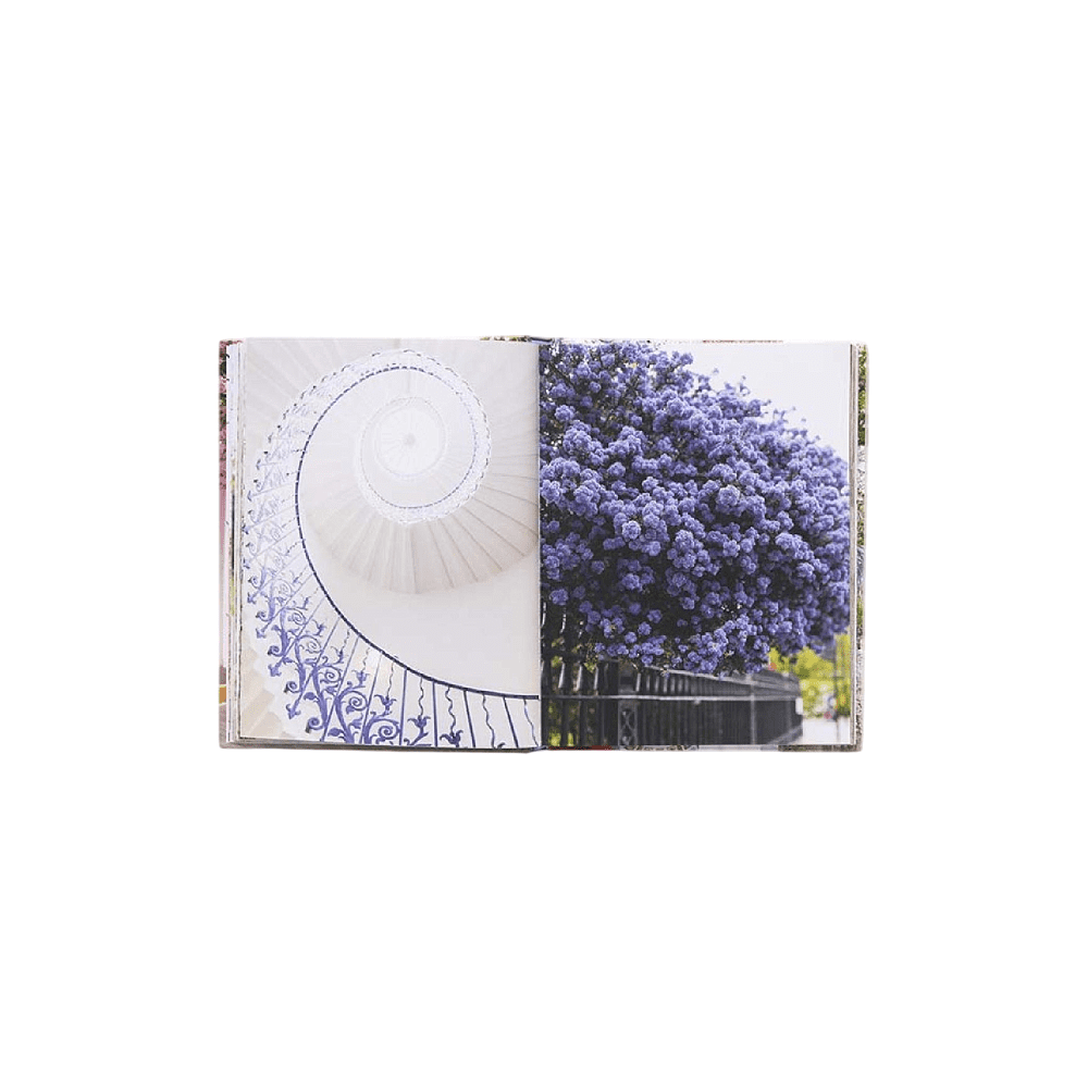 Книга на английском языке "London in Bloom", Lane G.  - 8