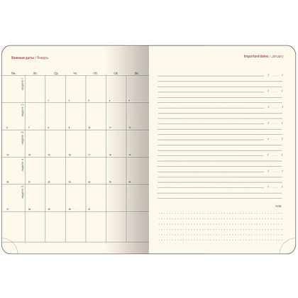 Ежедневник недатированный "Challenge", А5, 320 страниц, коричневый - 7