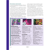 Книга "Библия садовых цветов. Однолетники, многолетники и луковичные. Советы по посадке, выращиванию и уходу" - 11