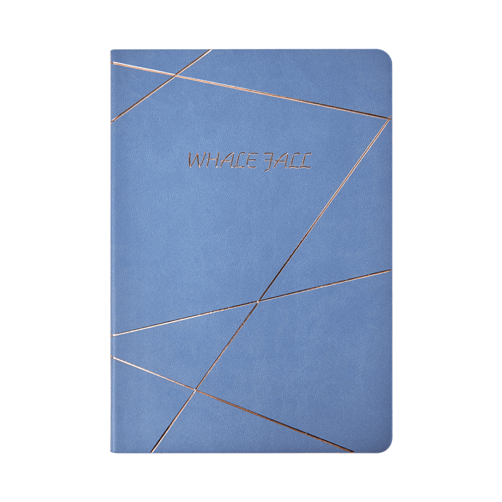 Блокнот "20D076", А5, 96 листов, голубой