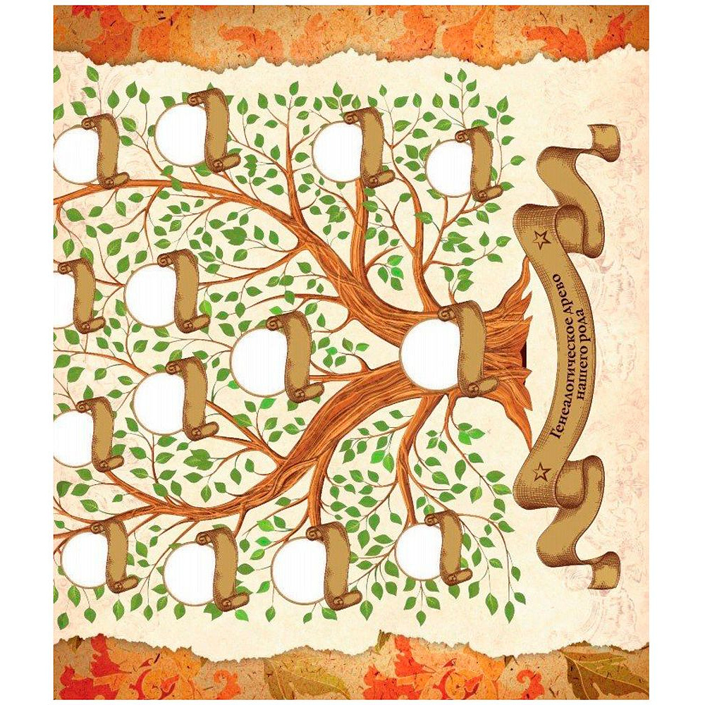 Книга "Родословная книга "Семейное древо", Ольга Юрченко - 6