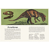 Книга "Динозавриум. Иллюстрированная энциклопедия", Маррей Л., Скотт К., Брун Д. - 7