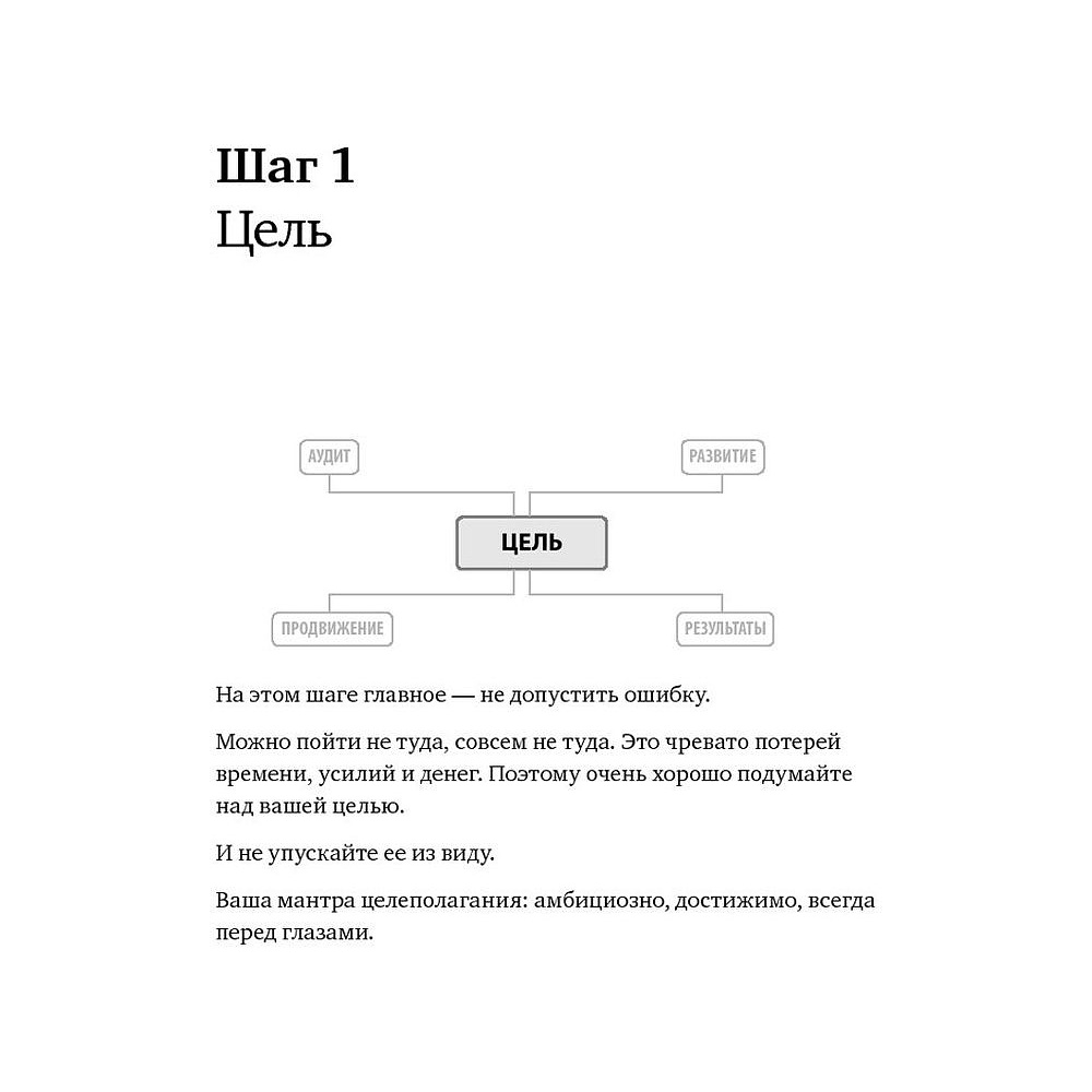 Книга "Номер 1. Как стать лучшим в том, что ты делаешь", Игорь Манн - 5