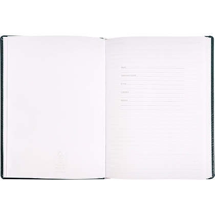 Ежедневник недатированный "Pelle Siena", А5, 272 страницы, зеленый - 8