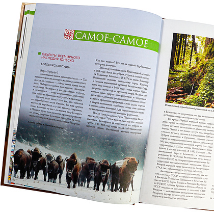 Книга "Республика Беларусь. Путеводитель для друзей", Плескачевская И. - 5