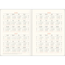 Ежедневник датированный "Python. Graphite" на 2026 год, А5, 352 страницы, графит, срез цветной