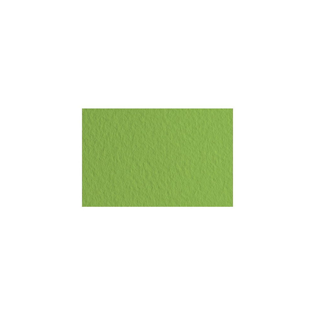Бумага для пастели "Tiziano", А4, 160 г/м2, оливковый 