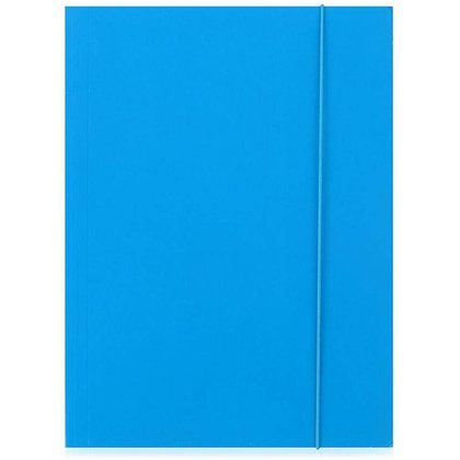 Папка на резинках "Esselte", A4, 15 мм, картон, синий