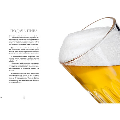 Книга "Маленькая книга гурмана. Пиво", Джованни Руджиери, Пьетро Фонтана - 10
