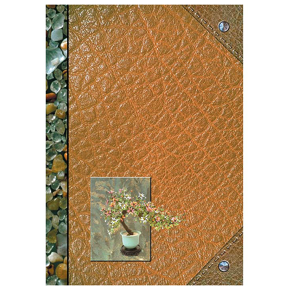 Книга канцелярская "Камешки", А4, 96 листов, клетка, коричневый