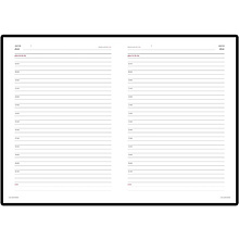 Ежедневник недатированный "Sidney Nebraska", A5+, 272 страницы, коричневый