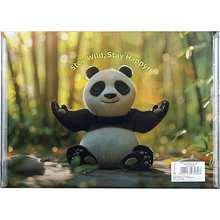 Папка-конверт на кнопке "Panda", A4, разноцветный