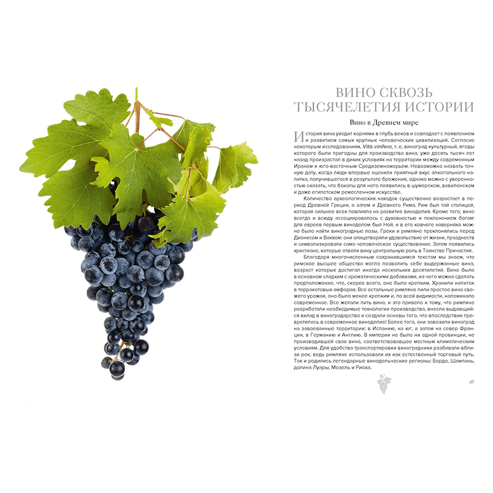 Книга "Маленькая книга гурмана. Вино", Якопо Коссатер, Фабио Петрони - 4