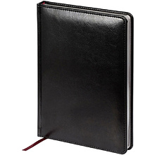 Ежедневник недатированный "Sidney Nebraska", серебристый обрез