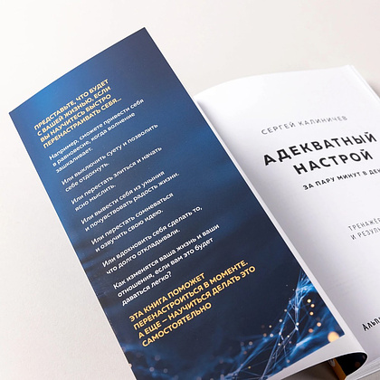 Книга "Адекватный настрой за пару минут в день. Тренажёр счастья и результативности", Сергей Калиничев - 3