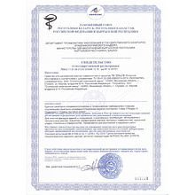 Средство чистящее для удаления высолов "Effect Интенсив 701", 5 л